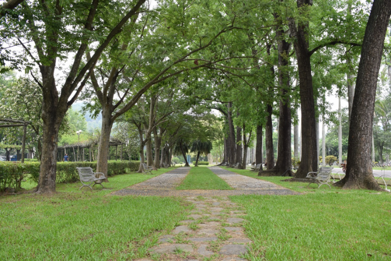 健康步道