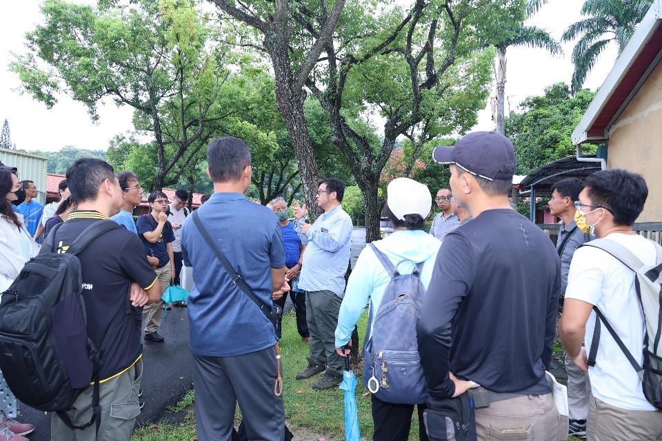 宿舍區樟樹病株的萌蘗更新示範