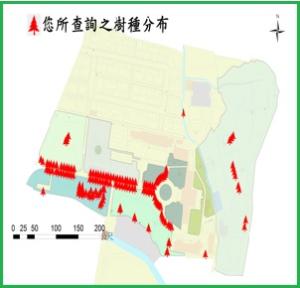 大王椰子_分布圖