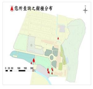 大花紫薇_分布圖