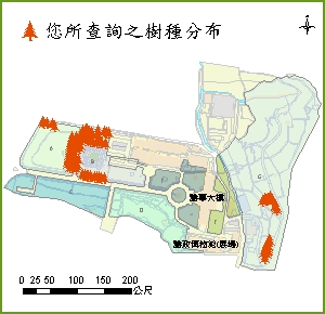 大葉桃花心木_分布圖