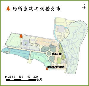 小實孔雀豆_分布圖