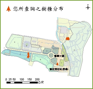 可可椰子_分布圖