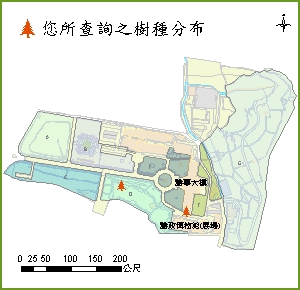 台灣肖楠_分布圖