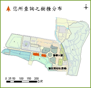 印度紫檀_分布圖