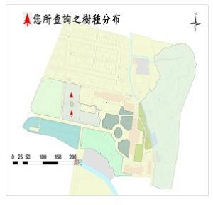 珊瑚刺桐_分布圖