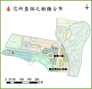 莫里斯麻_分布圖