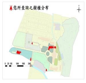 掌葉蘋婆_分布圖