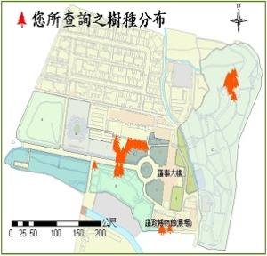 棍棒椰子_分布圖