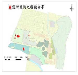 066黃花夾竹桃_00