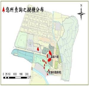 089羅比親王海棗_00