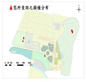 091蘇利南合歡_00